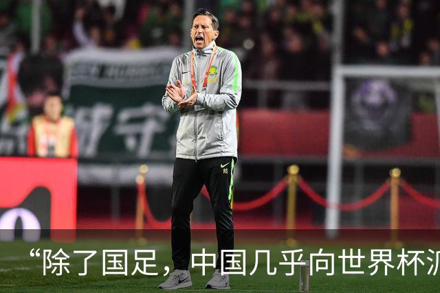 “除了国足，中国几乎向世界杯派去了一切”