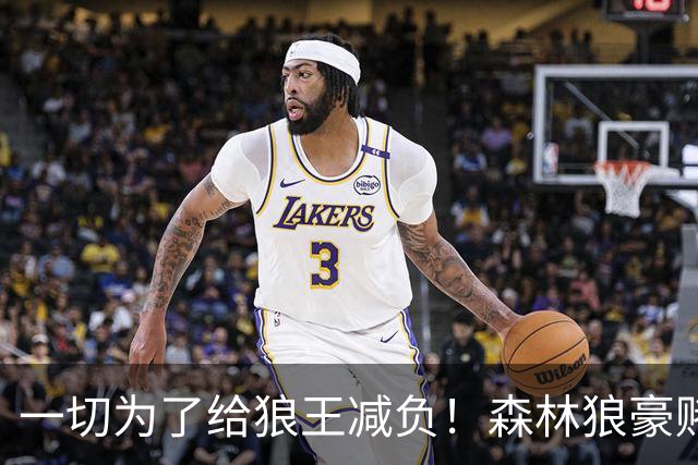 一切为了给狼王减负！森林狼豪赌后场双枪