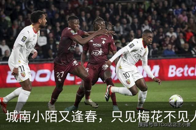 城南小陌又逢春，只见梅花不见人——送别永远的弗拉泰西