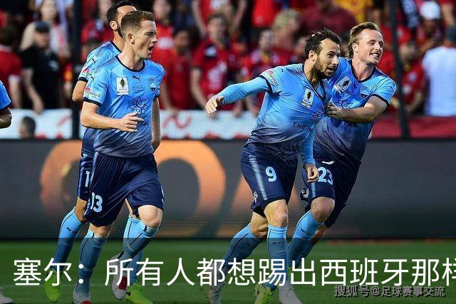 塞尔：所有人都想踢出西班牙那样的足球，但这不可能一两天内复制