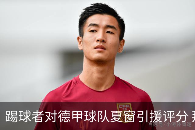 踢球者对德甲球队夏窗引援评分 拜仁第一多特第十